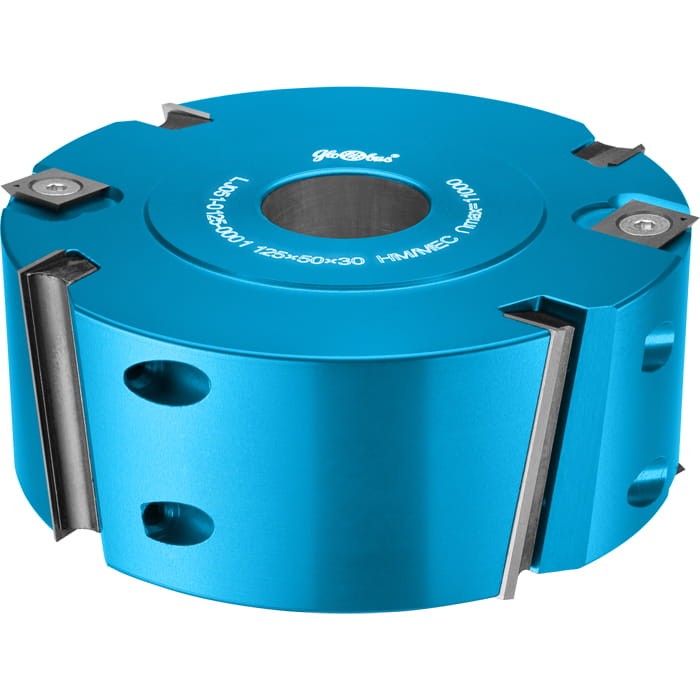 GLOBUS Głowica strugarska z nacinakami 100x30x4Z H50 / Korpus aluminium