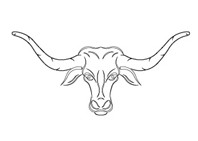 RCS-904 Szablon 3D Byk - E 419x194