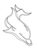 RCS-803 Szablon 3D Delfin - A 200x290