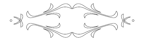 RCS-505 Szablon 3D [C] D=250x65