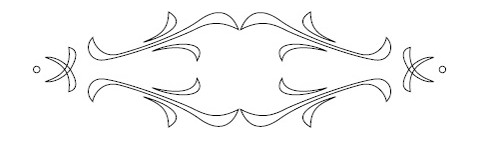 RCS-505 Szablon 3D [C] D=250x65