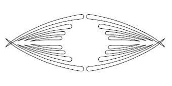 RCS-507 Szablon 3D [E] D=190x65