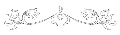 RCS-405 Szablon 3D [C] D=530x110