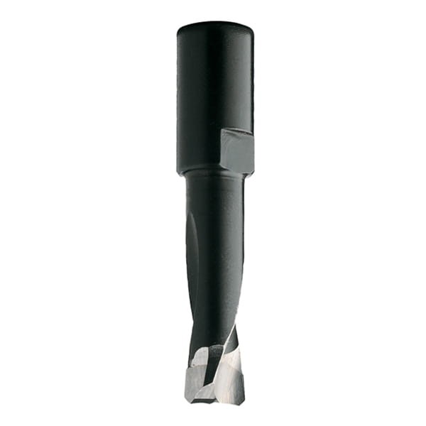 CMT Frez do Festool Domino® DF500 D4 I11 L38 S-M6