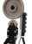 kolo-angielskie-f12-2.webp