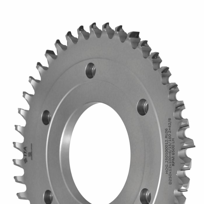 ITA TOOLS Hogger RADIUS D250 I12 F100+6/15/160 Z42/6 (42) (EA) R5 H6,0 LH