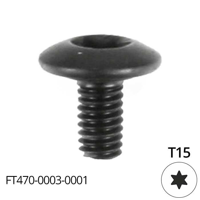 Globus śruba M10 x 22 do głowicy LJ070